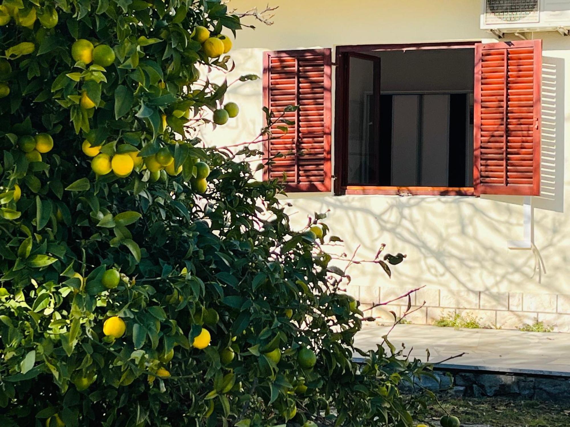 Beachfront Apartment Drazen, With Garden And Parking Split Exterior photo